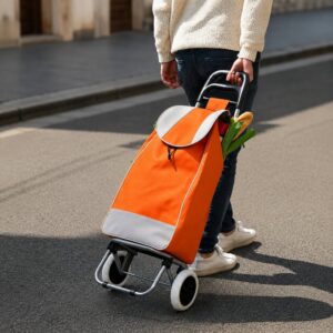 CARRITO PARA COMPRAS